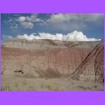 TePees 2.jpg